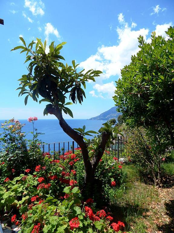 Amalfi View Cottage Екстер'єр фото