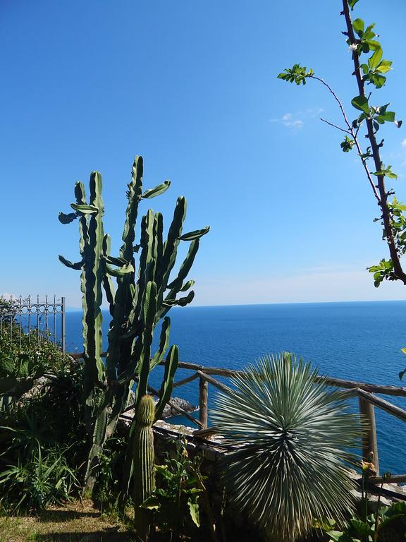 Amalfi View Cottage Екстер'єр фото